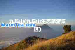 九阜山(九阜山生态旅游景区)