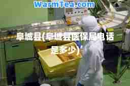 阜城县(阜城县医保局电话是多少)