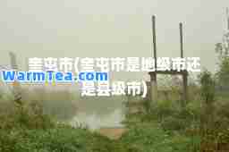 奎屯市(奎屯市是地级市还是县级市)