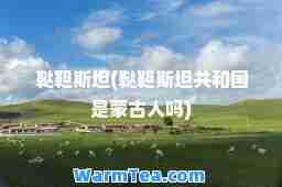 鞑靼斯坦(鞑靼斯坦共和国是蒙古人吗)
