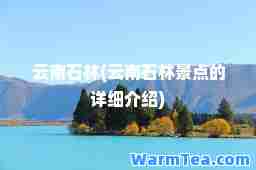 云南石林(云南石林景点的详细介绍)
