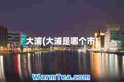 大浦(大浦是哪个市)