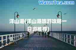 洋山港(洋山港旅游攻略一日游)