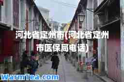 河北省定州市(河北省定州市医保局电话)