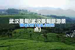 武汉蔡甸(武汉蔡甸旅游景点)