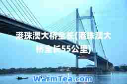 港珠澳大桥全长(港珠澳大桥全长55公里)
