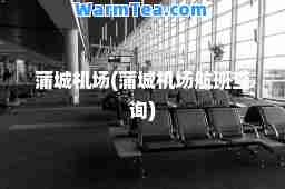 蒲城机场(蒲城机场航班查询)