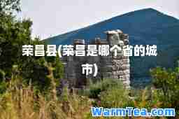 荣昌县(荣昌是哪个省的城市)