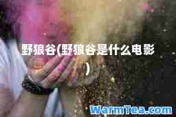 野狼谷(野狼谷是什么电影)