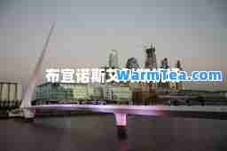 布宜诺斯艾利斯机场