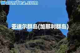 亚速尔群岛(加那利群岛)