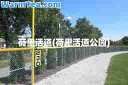 荷里活道(荷里活道公园)