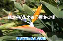 花之谷(花之谷门票多少钱)