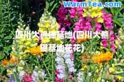 四川大熊猫基地(四川大熊猫基地花花)