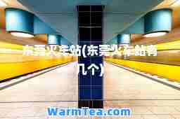 东莞火车站(东莞火车站有几个)