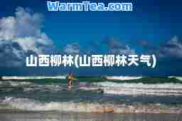 山西柳林(山西柳林天气)