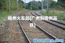 梧州火车站(广州到梧州高铁)