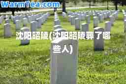 沈阳昭陵(沈阳昭陵葬了哪些人)