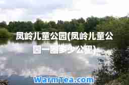 凤岭儿童公园(凤岭儿童公园一圈多少公里)