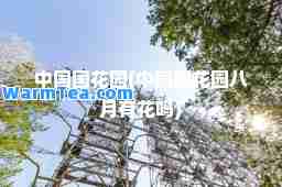 中国国花园(中国国花园八月有花吗)