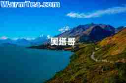 奥塔哥