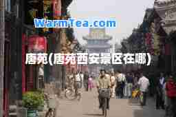 唐苑(唐苑西安景区在哪)