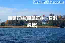 昆明石林(昆明石林一日游纯玩)