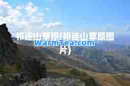 祁连山草原(祁连山草原图片)