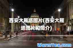 西安大雁塔图片(西安大雁塔图片和简介)