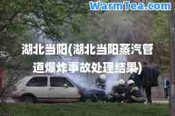 湖北当阳(湖北当阳蒸汽管道爆炸事故处理结果)