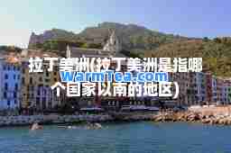 拉丁美洲(拉丁美洲是指哪个国家以南的地区)