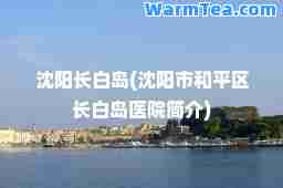 沈阳长白岛(沈阳市和平区长白岛医院简介)