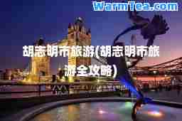 胡志明市旅游(胡志明市旅游全攻略)