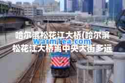 哈尔滨松花江大桥(哈尔滨松花江大桥离中央大街多远)