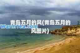 青岛五月的风(青岛五月的风图片)