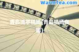 青岛流亭机场(青岛机场在哪)