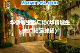 华侨城生态广场(华侨城生态广场足球场)
