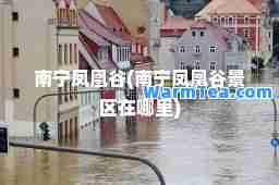 南宁凤凰谷(南宁凤凰谷景区在哪里)