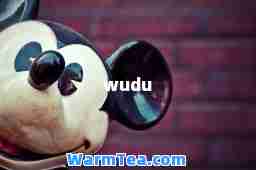 wudu