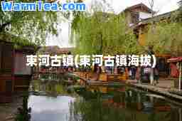 束河古镇(束河古镇海拔)