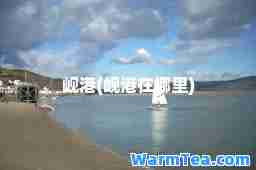 岘港(岘港在哪里)