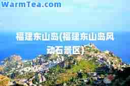 福建东山岛(福建东山岛风动石景区)
