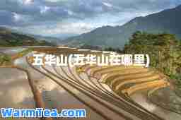 五华山(五华山在哪里)