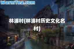林浦村(林浦村历史文化名村)