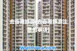 去旅游(去旅游注意的事项)