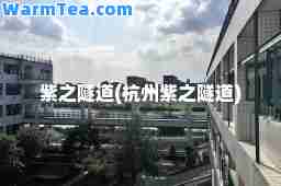 紫之隧道(杭州紫之隧道)
