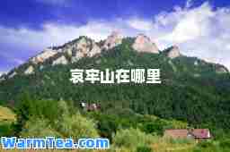 哀牢山在哪里