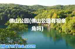 佛山公园(佛山公园有相亲角吗)