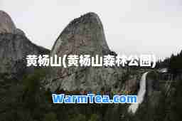 黄杨山(黄杨山森林公园)