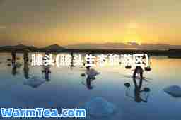 滕头(滕头生态旅游区)